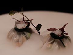 -觀芷隐轩