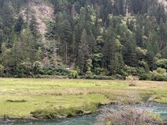 -乡土特色.冷锅鱼.牦牛肉汤锅