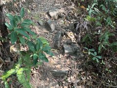 -梧桐山风景名胜区