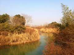 -梁鸿国家湿地公园