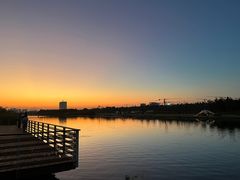 -春花秋色城市公园