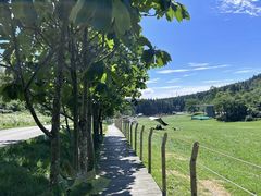 -武陵山森林公园