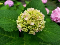 -新天地活力PARK