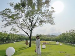 -福建鲤鱼洲酒店