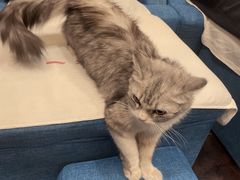 -1号足道推拿会馆