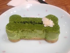 -柴务处·柴犬主题狗咖