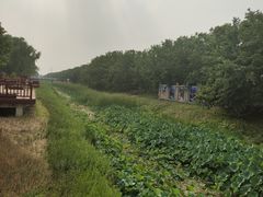 -御林古桑园
