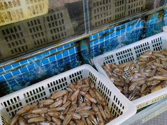 -南庄酒家·海鲜粤菜·25年老字号(环城南路店)