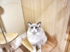 -Double Rui宠物酒店