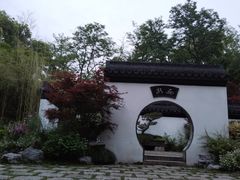 -上海共青森林公园