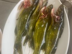 -苗伯妈酸汤火锅