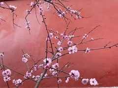 -雪峰寺