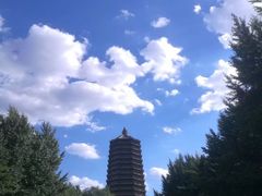 -玲珑塔公园