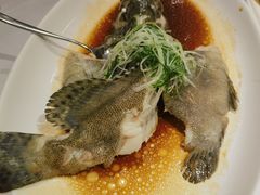 -春满园·早茶·粤菜·宴会(前海店)