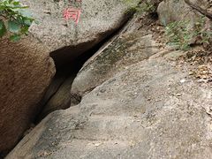 -六里坪国家森林公园