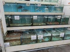 水产区-秋姐美食店(旅游大道店)