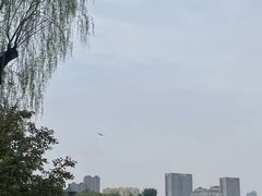 -迎泽公园