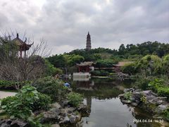 -顺峰山公园