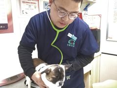 -格蕾宠物医院24H·猫科·肿瘤科·骨科中心(福州总院)