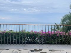-日落吧·海景咖啡厅·餐酒吧·鸡尾酒·下午茶·乐队表演·浪漫夕阳·三亚文华东方酒店