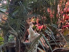 -正佳雨林生态植物园