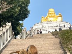 -苏州上方山国家森林公园