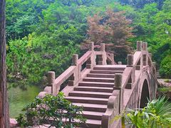 -上海醉白池公园