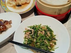 -惠丰堂饭庄(北洼路店)