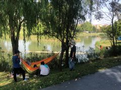 -两河城市森林公园