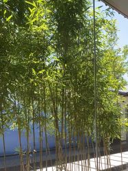 -爱儿美儿童摄影(朝阳公园店)