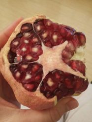 -榕树上·瑜伽普拉提