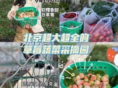 -昌平兴寿秀秀草莓采摘园