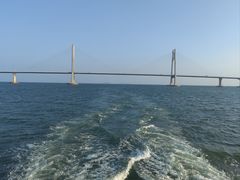 -招商蛇口邮轮母港(观光客运)