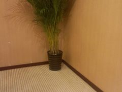 -黄山香茗国际酒店