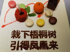 -梧桐
