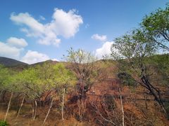 -北京十三陵国家森林公园蟒山景区