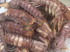-烁佳海鲜大馅饺子