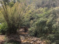 -世间香境·七溪地