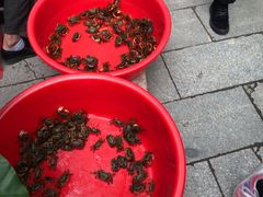 -黄埔古港