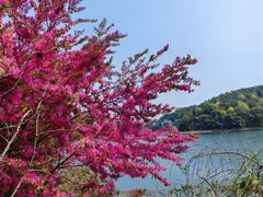 -石燕湖生态旅游景区