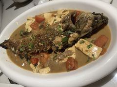 -大雄九老菜馆(南门桥店)