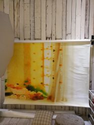 -星豆豆儿童摄影(南郊太白南路店)