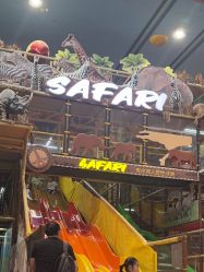 -卡通尼·Safari非洲探索乐园·生日会(金桥国际商业广场店)