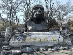 -北京周口店北京人遗址博物馆