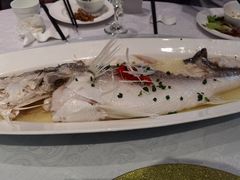 拉菲大黄鱼-颂福楼·南京菜(定淮门店)