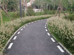 -北极寺公园