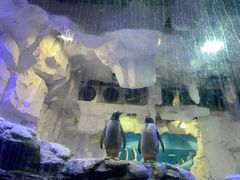 -华夏文旅海洋公园