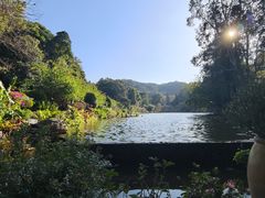 -深圳仙湖植物园