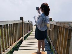 -白草畔自然风景区