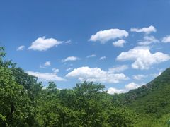 -大连天门山国家森林公园